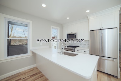 Brookline Apartment for rent 2 Bedrooms 1 Bath  Chestnut Hill - $3,700