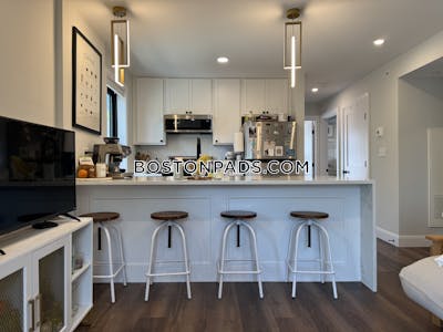 Brighton Apartment for rent 3 Bedrooms 3 Baths Boston - $4,800 No Fee