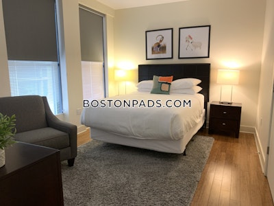 Downtown Apartment for rent 1 Bedroom 1 Bath Boston - $3,200 No Fee