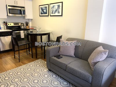 Downtown Apartment for rent Studio 1 Bath Boston - $2,750 No Fee
