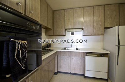 Brighton Apartment for rent 1 Bedroom 1 Bath Boston - $2,550
