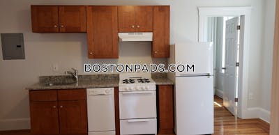 Brighton Apartment for rent 1 Bedroom 1 Bath Boston - $2,900