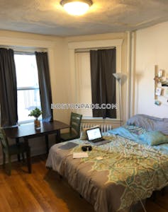 Brookline Apartment for rent Studio 1 Bath  Longwood Area - $2,150