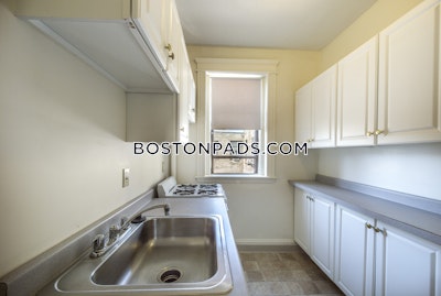 Allston Apartment for rent 1 Bedroom 1 Bath Boston - $2,700