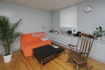 Allston Apartment for rent 1 Bedroom 1 Bath Boston - $2,500