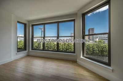 Allston Apartment for rent 1 Bedroom 1 Bath Boston - $3,350