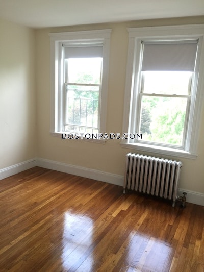 Brighton Apartment for rent 1 Bedroom 1 Bath Boston - $2,450 No Fee