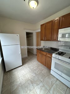 Brighton Apartment for rent 1 Bedroom 1 Bath Boston - $2,350 No Fee