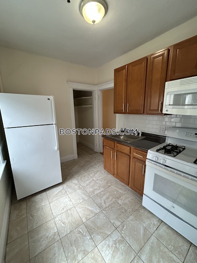 Brighton Apartment for rent 1 Bedroom 1 Bath Boston - $2,350 No Fee