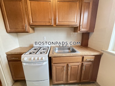 Allston Apartment for rent Studio 1 Bath Boston - $2,300 No Fee
