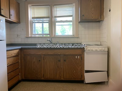 Allston Apartment for rent 1 Bedroom 1 Bath Boston - $2,000