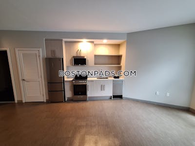 Jamaica Plain Apartment for rent Studio 1 Bath Boston - $2,785