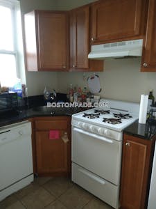 Allston Apartment for rent 1 Bedroom 1 Bath Boston - $2,900