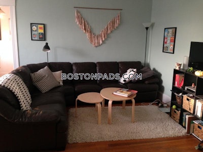 Brighton Apartment for rent 1 Bedroom 1 Bath Boston - $2,400 No Fee