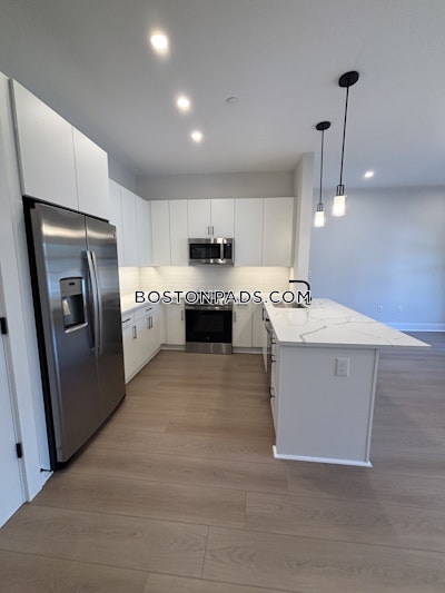 Brighton 2 bedroom 2 baths in BOSTON Boston - $5,000