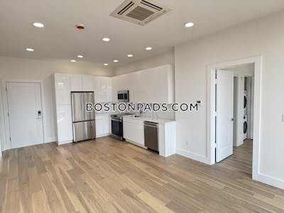 Brighton Apartment for rent 1 Bedroom 1 Bath Boston - $3,600