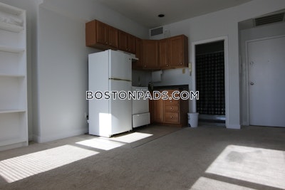 South End Apartment for rent 1 Bedroom 1 Bath Boston - $2,425