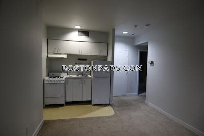 South End 1 bedroom 1 baths in BOSTON Boston - $2,500