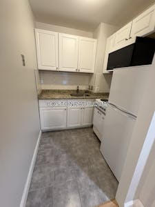 Brookline Apartment for rent Studio 1 Bath  Coolidge Corner - $1,900