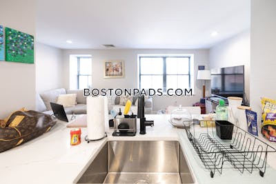 South End Apartment for rent 1 Bedroom 1 Bath Boston - $3,300
