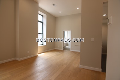 South End 2 bedroom 1 baths in BOSTON Boston - $4,325