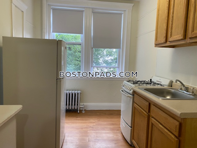 Allston/brighton Border Apartment for rent 2 Bedrooms 1 Bath Boston - $2,925 No Fee