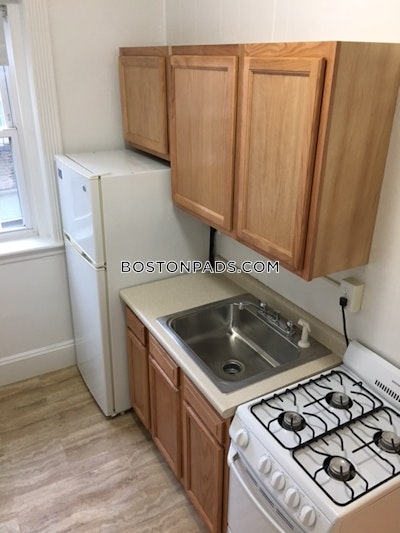 Allston/brighton Border Apartment for rent 1 Bedroom 1 Bath Boston - $2,625 No Fee