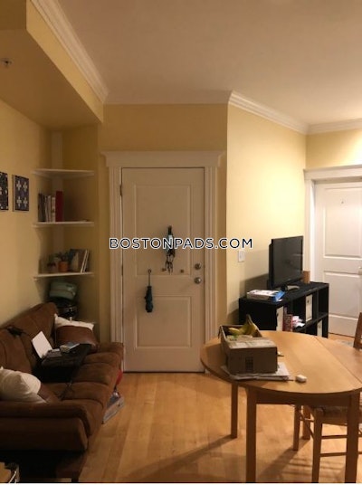 Cambridge Apartment for rent 3 Bedrooms 2 Baths  Central Square/cambridgeport - $4,000