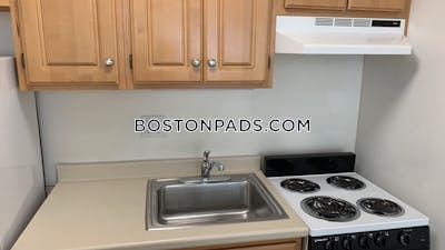 Cambridge Apartment for rent Studio 1 Bath Mt. Auburn/brattle/ Fresh Pond - $2,400 No Fee
