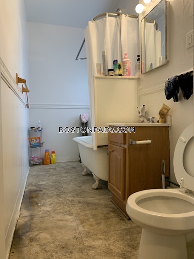 Allston Apartment for rent 1 Bedroom 1 Bath Boston - $2,575 No Fee