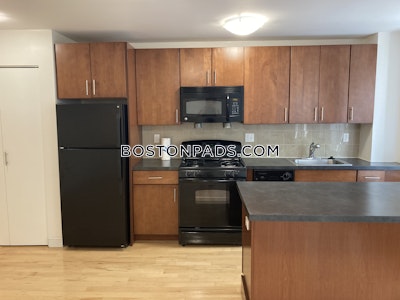 Brighton Apartment for rent 1 Bedroom 1 Bath Boston - $2,765 No Fee