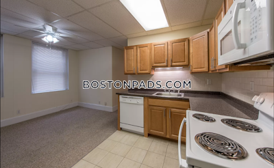 Allston Apartment for rent 1 Bedroom 1 Bath Boston - $2,500