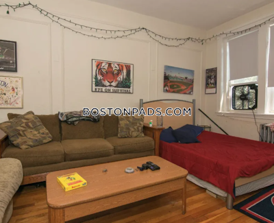 Brighton Apartment for rent 1 Bedroom 1 Bath Boston - $2,595 No Fee