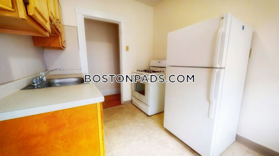 Brighton Apartment for rent 1 Bedroom 1 Bath Boston - $2,700