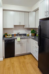 Fenway/kenmore Apartment for rent 2 Bedrooms 1 Bath Boston - $4,760