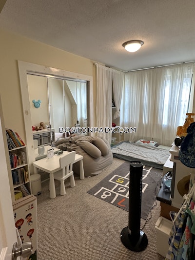 Allston Apartment for rent 1 Bedroom 1 Bath Boston - $2,500