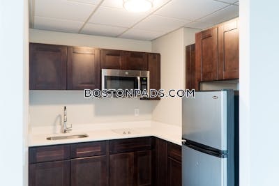 Worcester Apartment for rent 1 Bedroom 1 Bath - $1,800 No Fee
