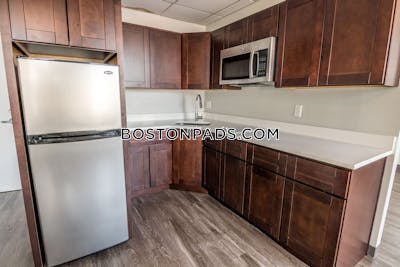Worcester Apartment for rent 1 Bedroom 1 Bath - $1,640 No Fee