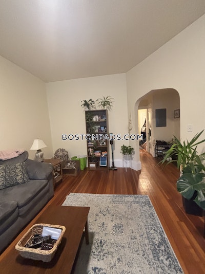 Brookline Apartment for rent 1 Bedroom 1 Bath  Washington Square - $3,000 No Fee