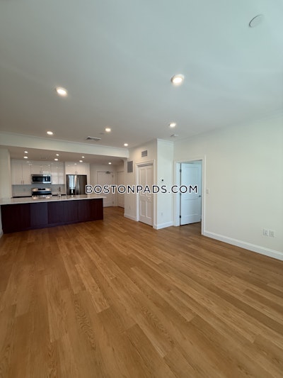 Brookline 1 bedroom 1 baths in BROOKLINE  Chestnut Hill - $3,380 No Fee
