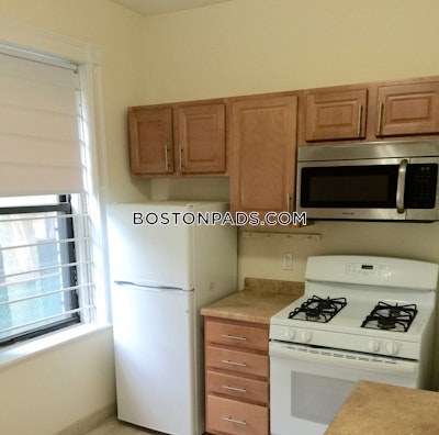 Allston Apartment for rent 1 Bedroom 1 Bath Boston - $2,550