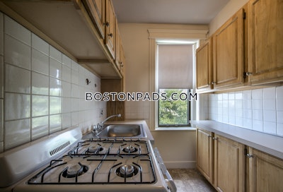 Allston 1 Bed 1 Bath Boston - $2,650