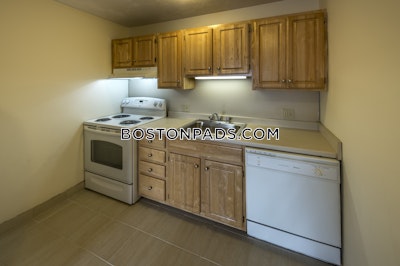 Allston Apartment for rent 1 Bedroom 1 Bath Boston - $2,750