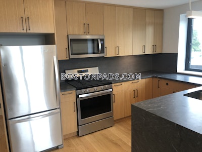 Allston Apartment for rent 2 Bedrooms 2 Baths Boston - $5,100 No Fee