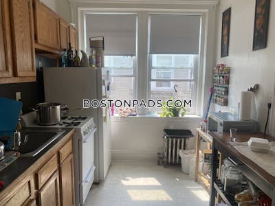 Brighton Apartment for rent 1 Bedroom 1 Bath Boston - $2,595 No Fee