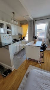 Allston/brighton Border Apartment for rent Studio 1 Bath Boston - $2,280