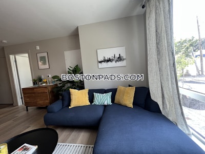 Brighton Apartment for rent Studio 1 Bath Boston - $2,707
