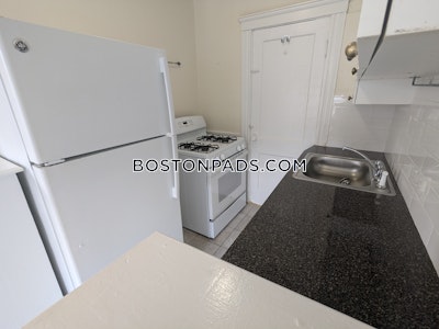 Brighton Apartment for rent 1 Bedroom 1 Bath Boston - $2,700