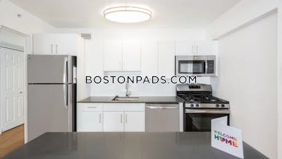 West End Apartment for rent Studio 1 Bath Boston - $2,910