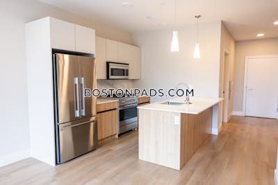 Brighton Apartment for rent 1 Bedroom 1 Bath Boston - $3,600 No Fee